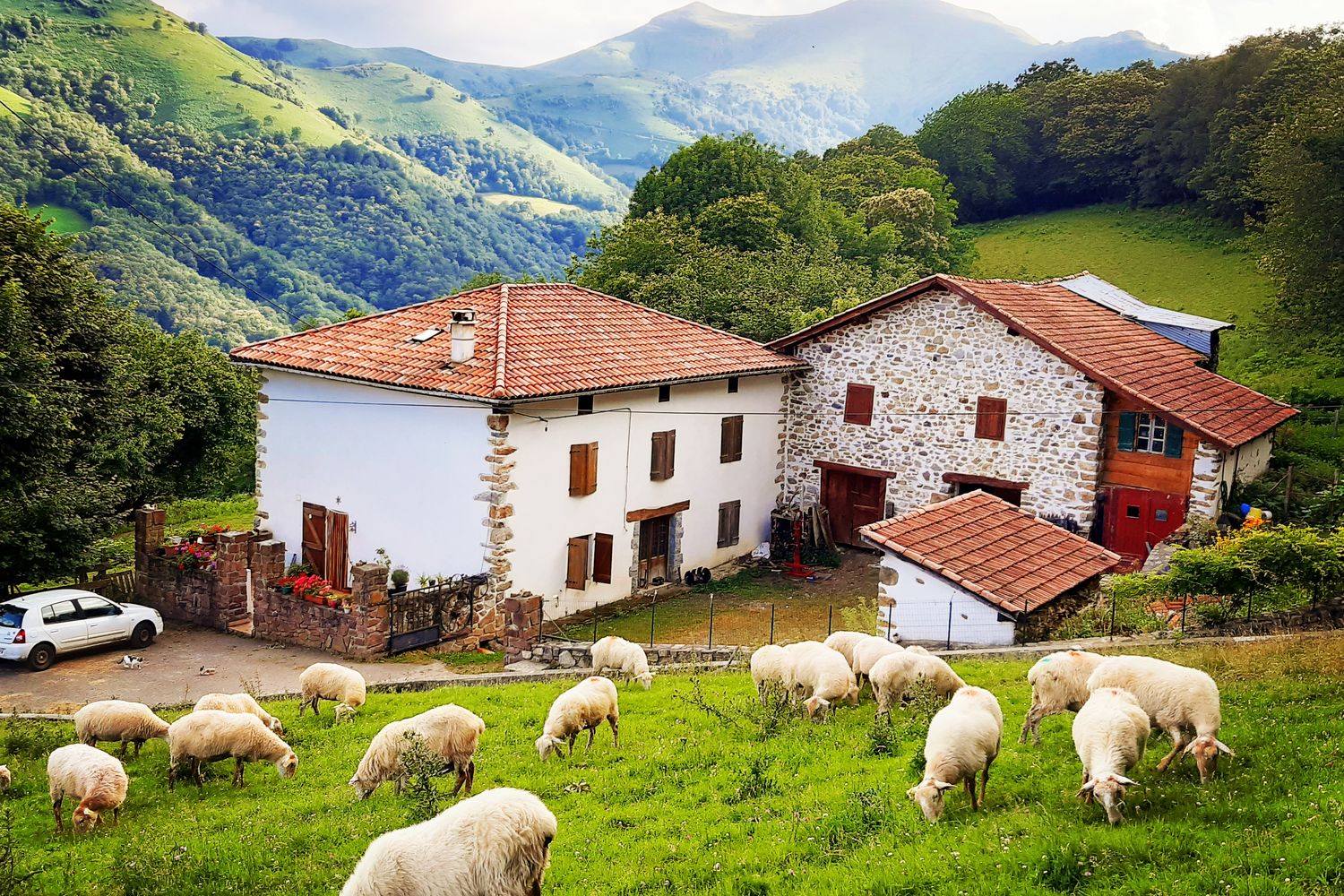 AMETZALDE ferme brebis 2021