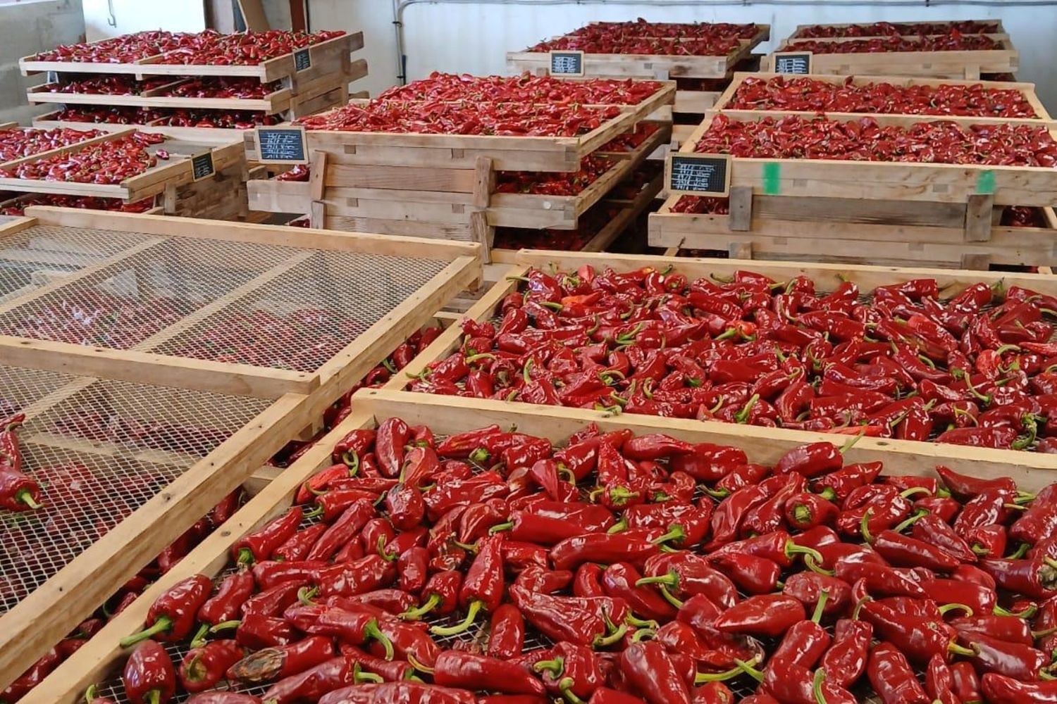 Belazkabieta - piments