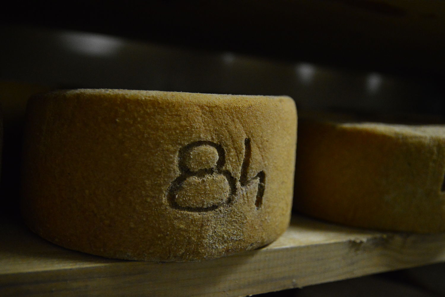 Brebis - Albisetti tomme 2