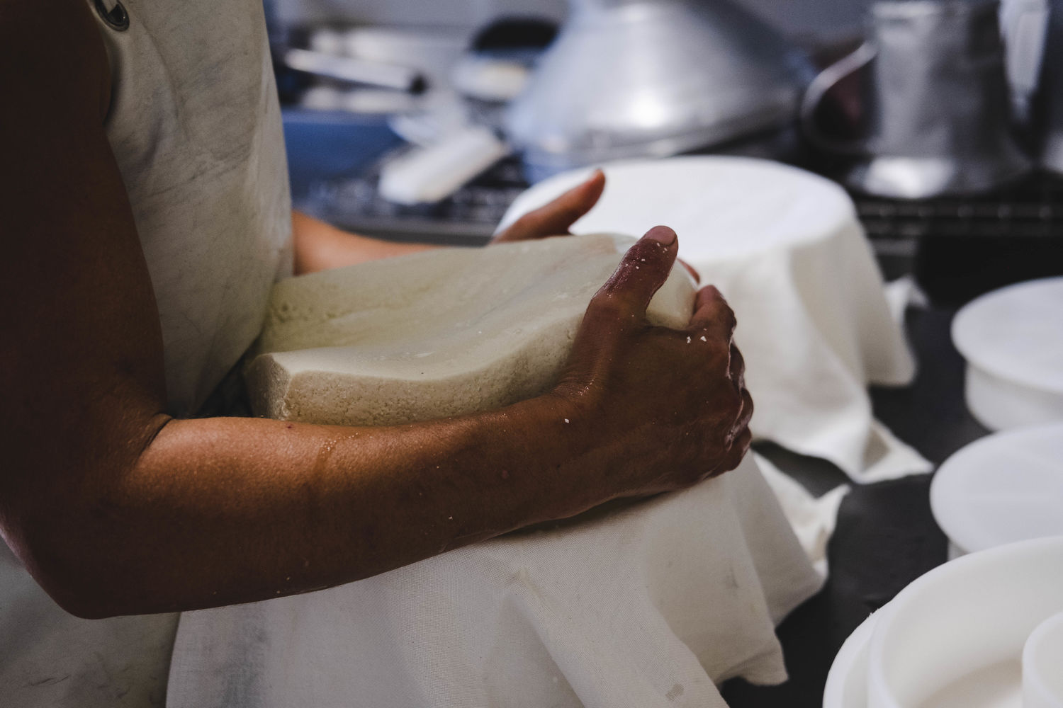 Brebis - Murgia - moulage fromage