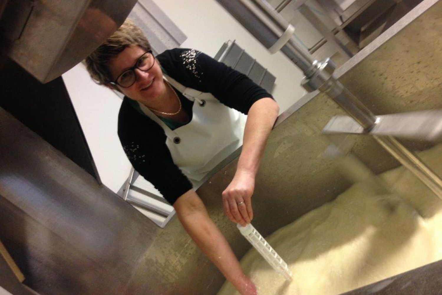 Brebis Irola fabrication de fromage