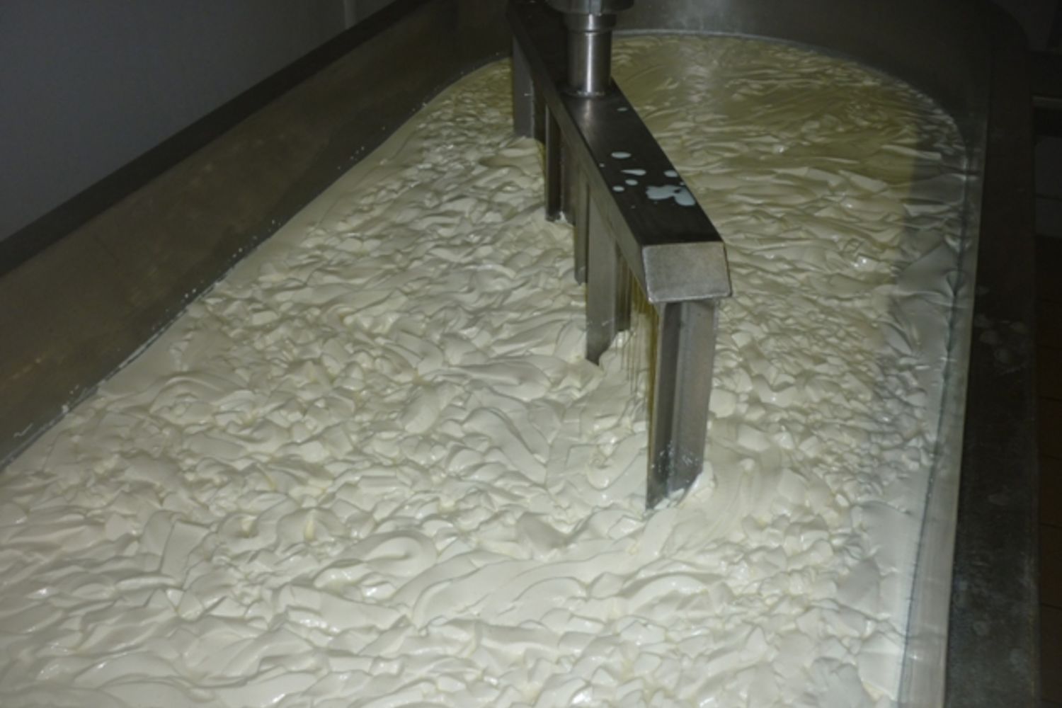 Brebis  c Garatea 5