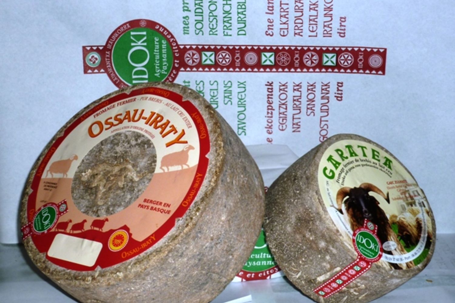 Brebis  c Garatea 6