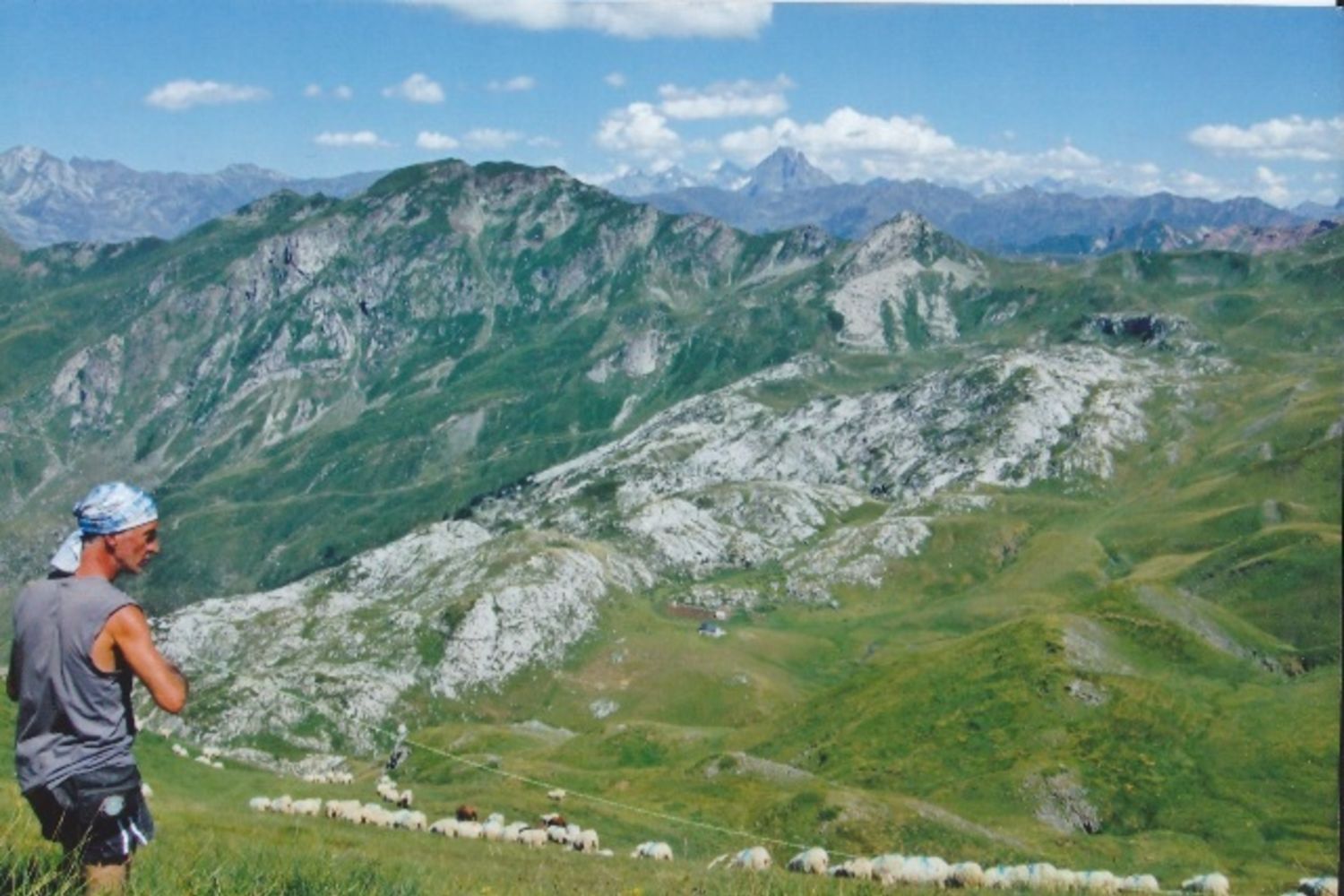 Brebis  c Saut 4