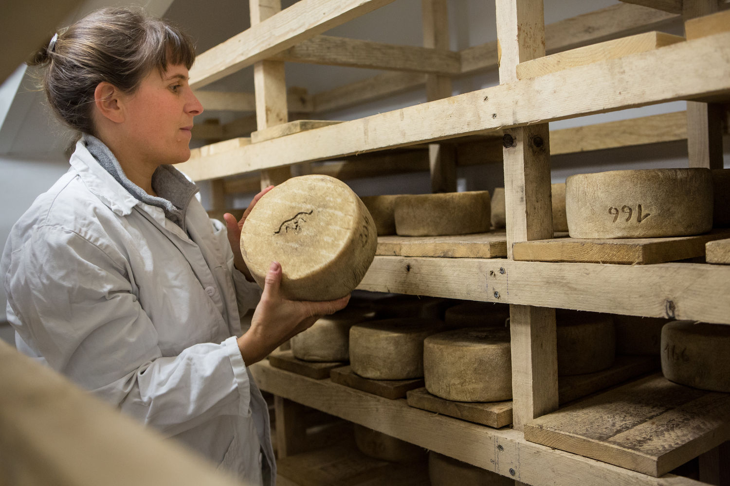 Ferme Elurti - Nathalie Suzanne - Affinage tomme - Idoki