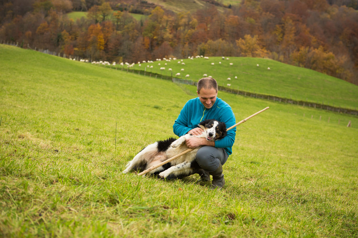 Ferme Pelloenea  Antton urrizaga dans le champs avec le chien  Idoki