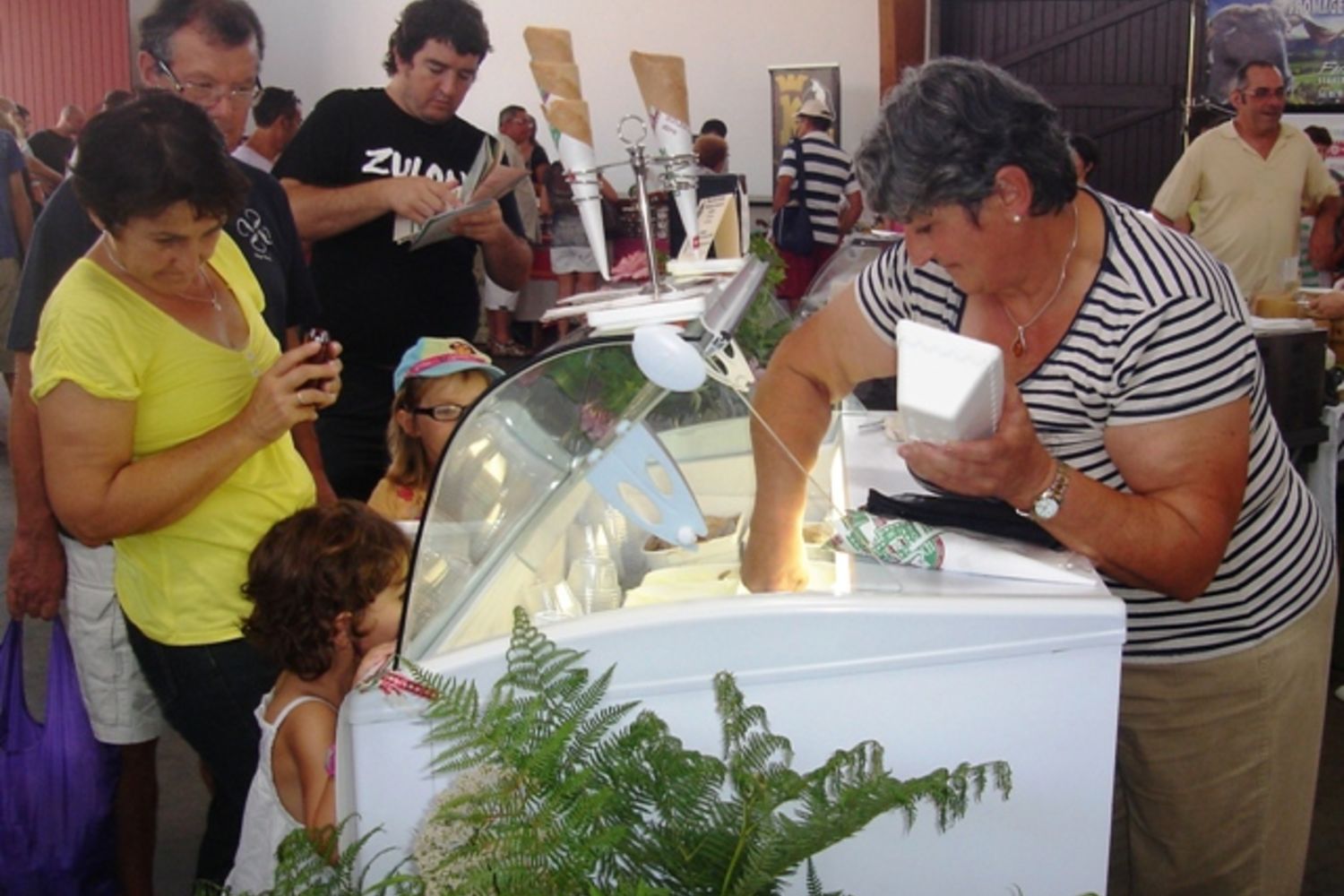 Glace - Esne luma 5