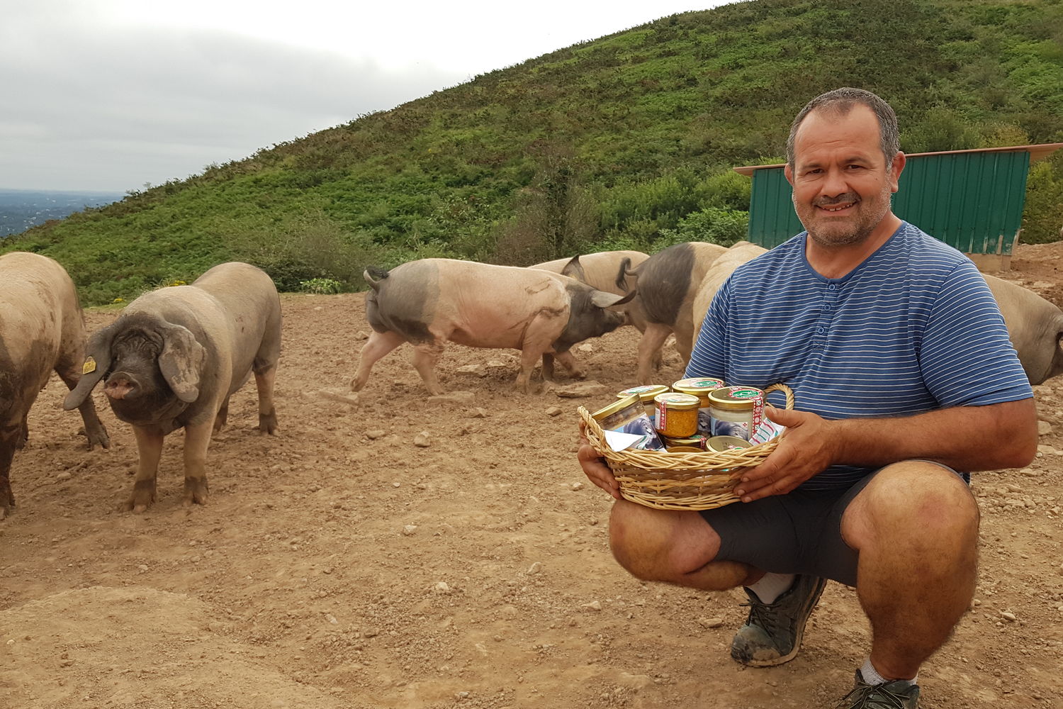 IBARBURU_Ramuntxo_porc_portrait.jpg