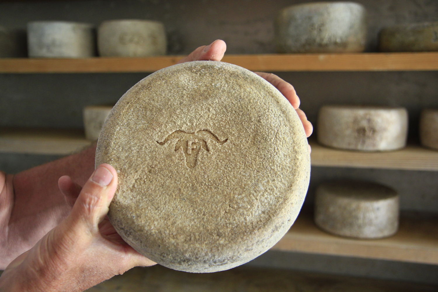 Itxaldea-fromage-ossau-iraty