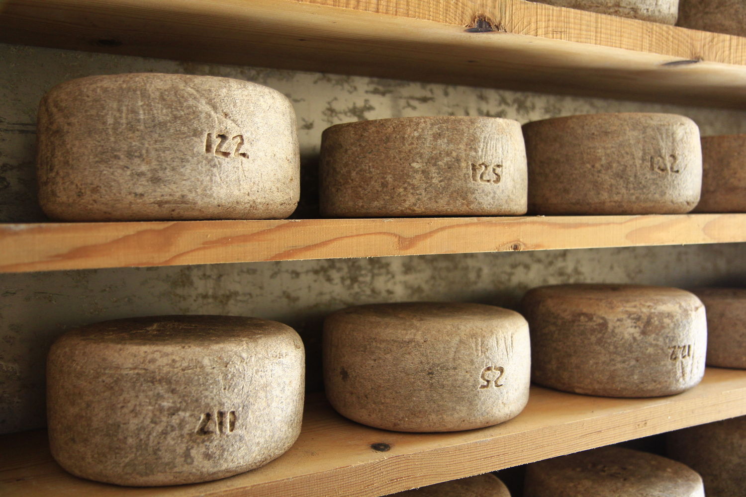 Itxaldea-fromage
