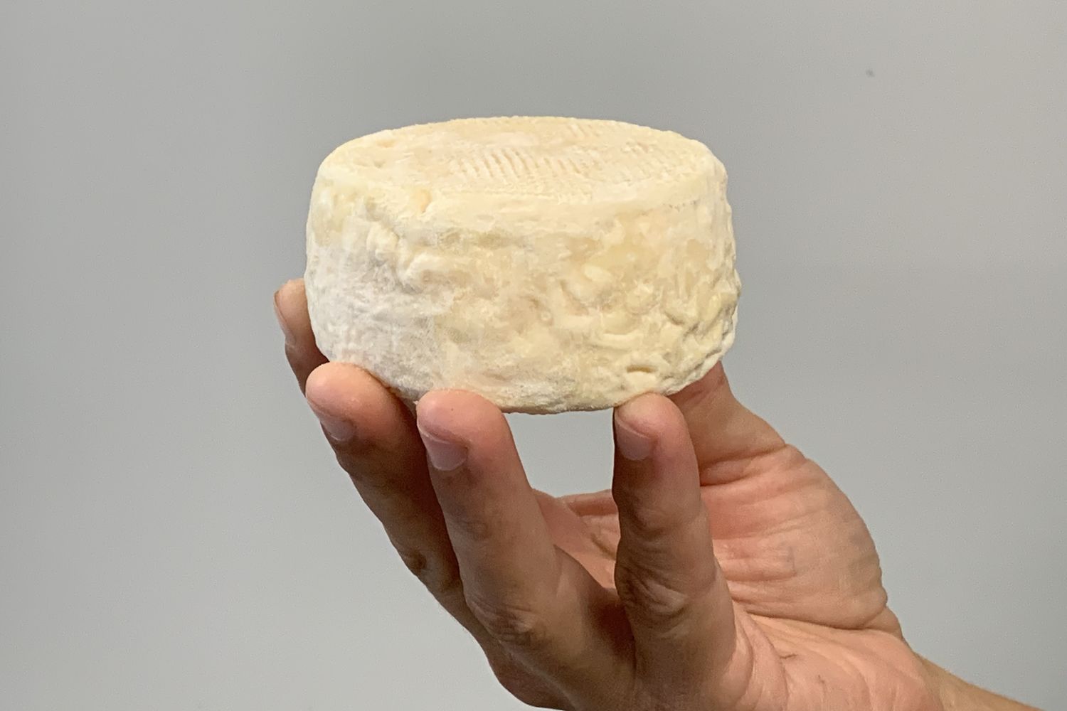 Joana Parot - Crottin chevre