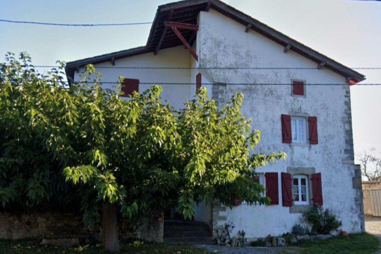 Kattin Chilibolost-ferme