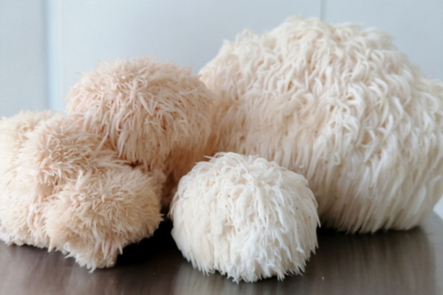 Le myceliste - Alison - champignons 3