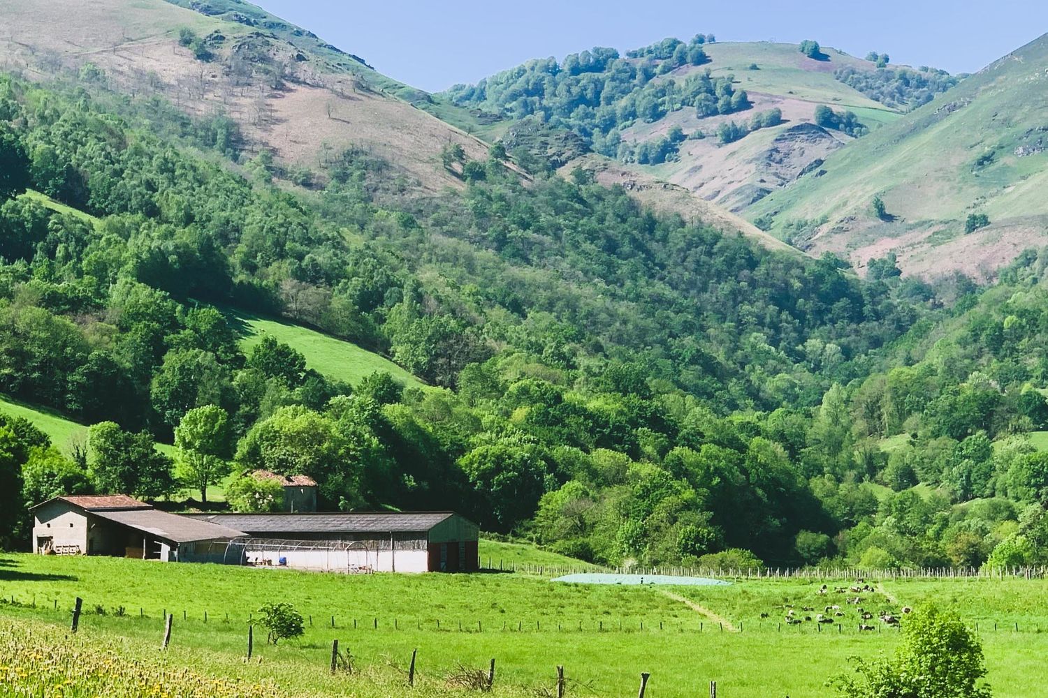 Marie Loisel - ferme