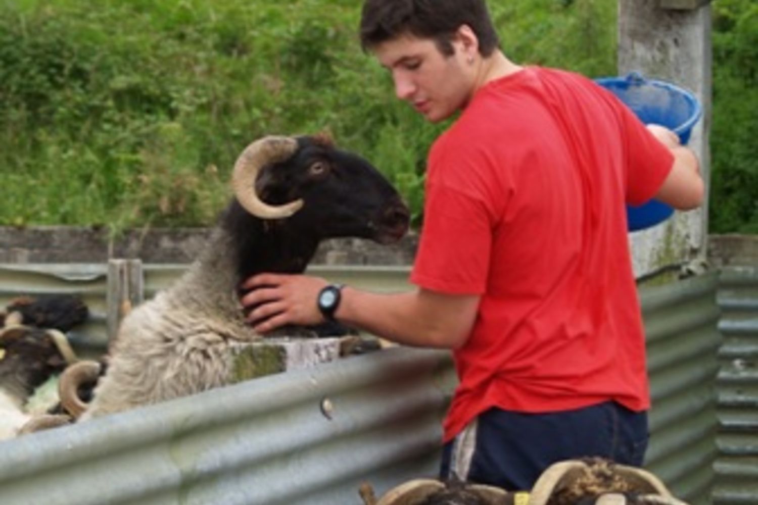 Mikel Negueloua web  c Chassevent - Ekibegia