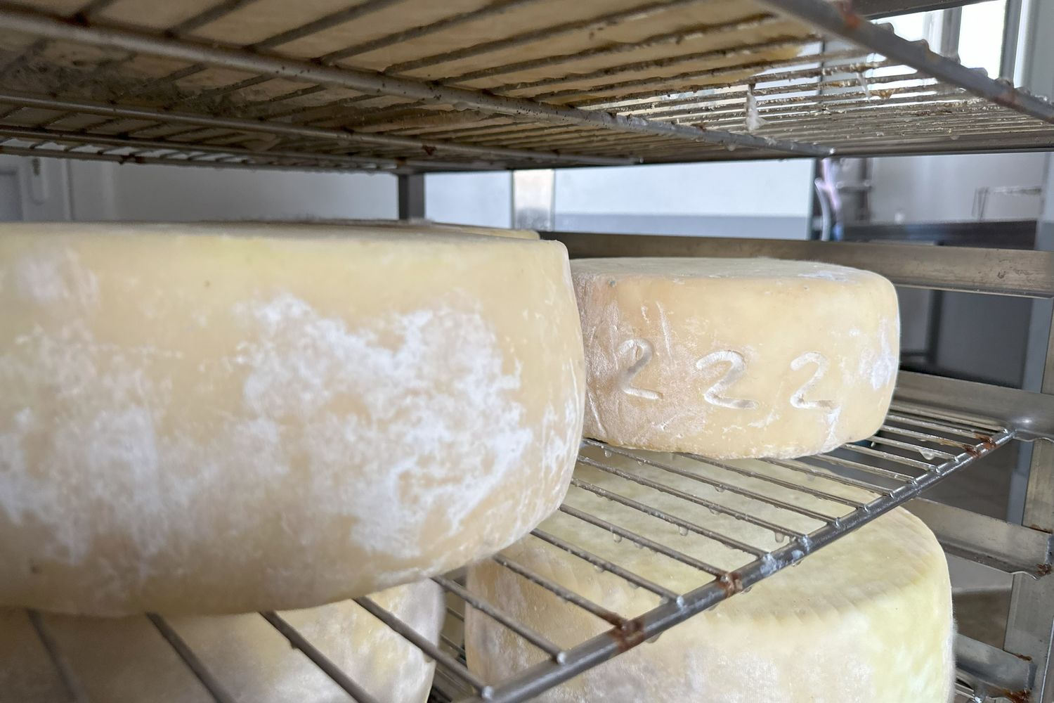 Oihanartia-fromage