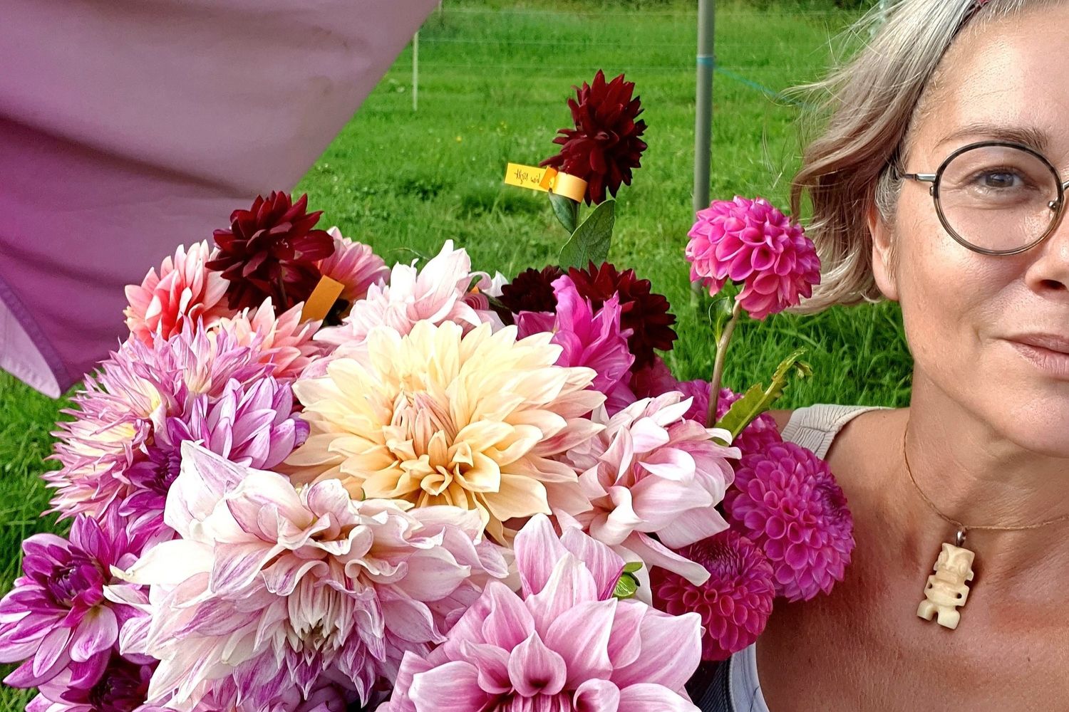 Oreka - amaya et les dahlias