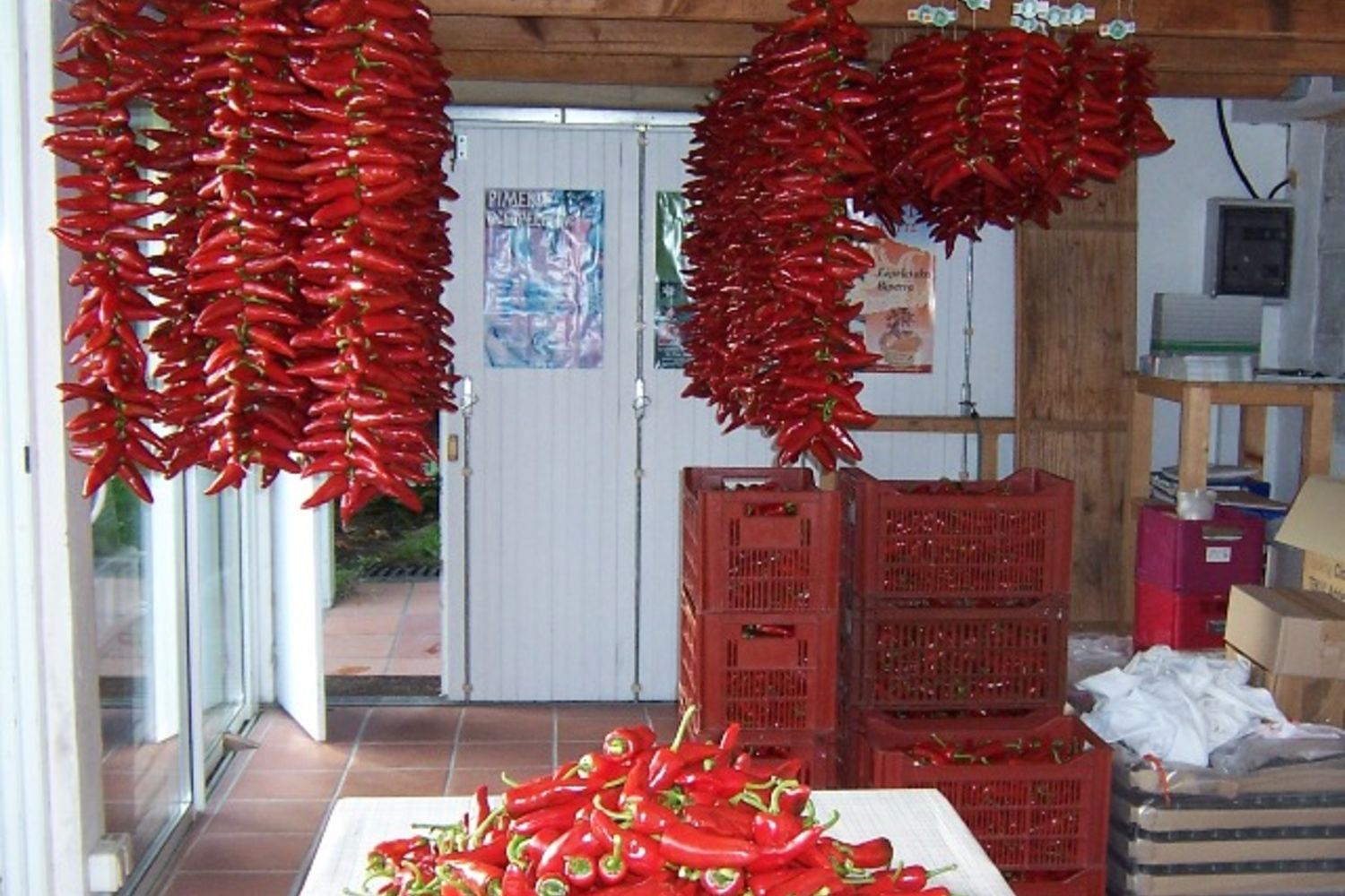 Piment-Charron  2
