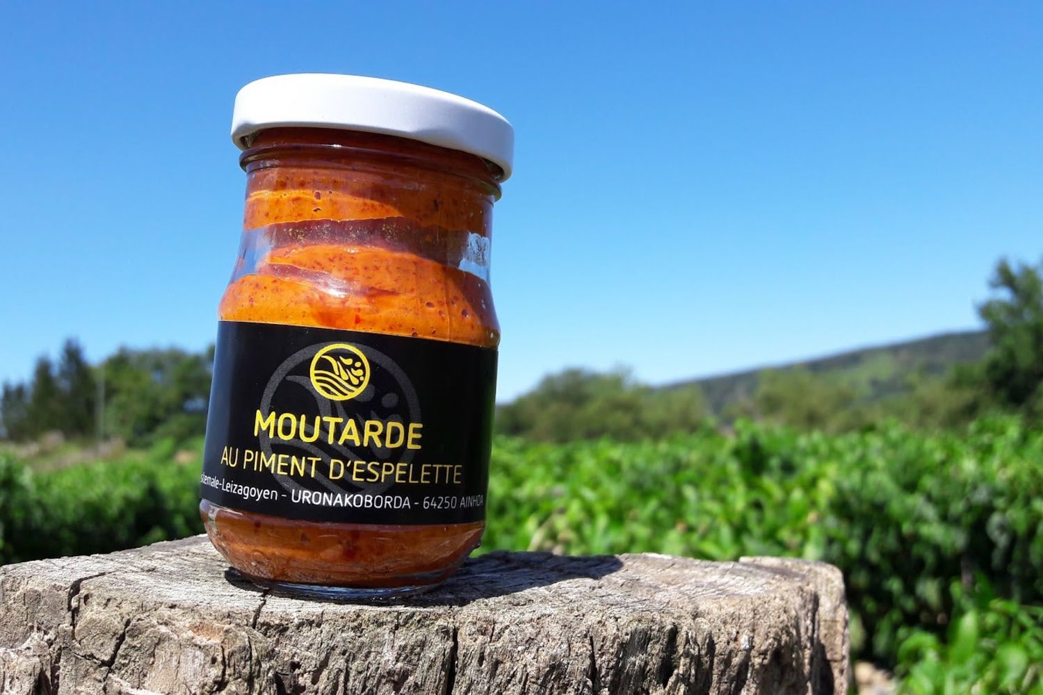 Uronakoborda-moutarde au piment