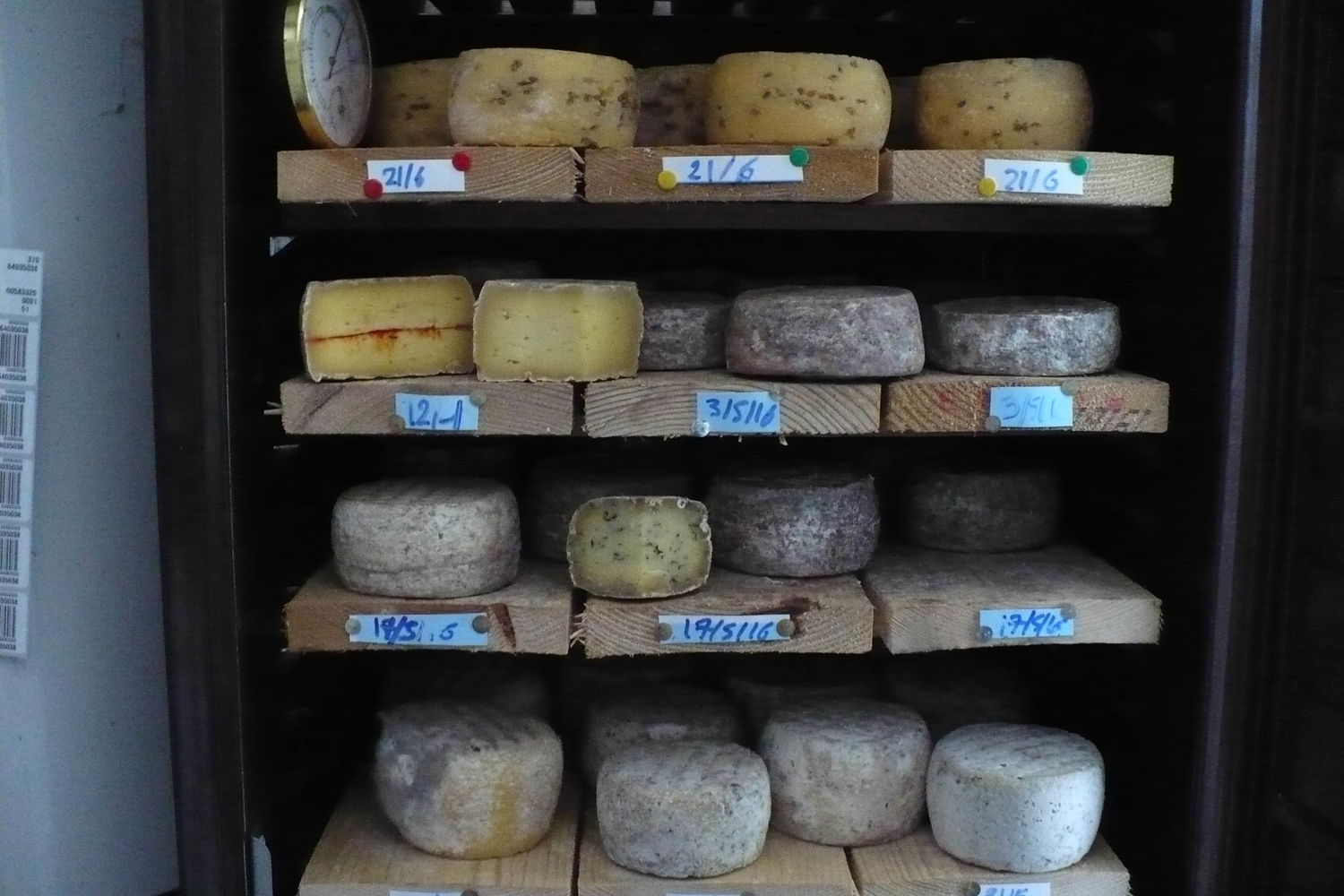Vache - Agerrea - fromages