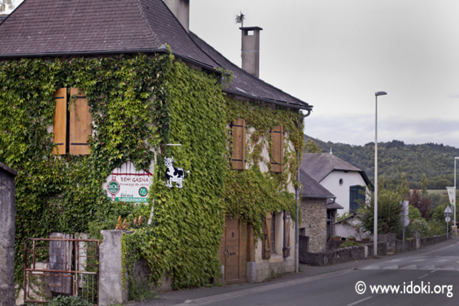 Vache - Agerregaia 1