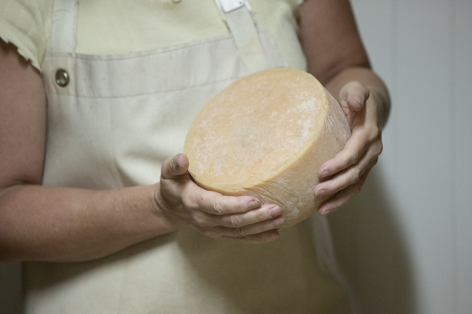Vaches laitie  res - ferme Oheta - Sylvie frotte la tomme