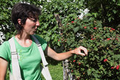 Eztitxu Sabarots, Mamiño (Les Aldudes) : confitures et fruits transformés 
