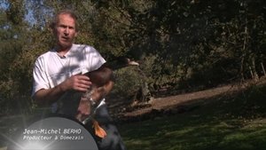 Vidéo à la ferme Eyhartzea