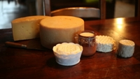 Fromages de la ferme Bixartea