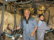 Jean-Marie et Hélène Astabie, à la traite