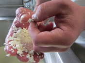 Sébastien Astabie vérifie le grain du fromage 