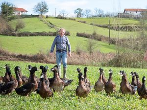 Eyhartzea (Domezain) : canard gras Kriaxera
