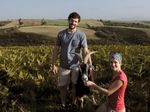 Ixuribeherea (Ayherre) : fromage de chèvre, porc basque