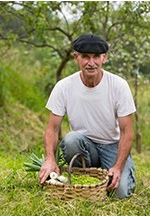 Panpi Goyty, légumes sans intrants chimiques à Hélette