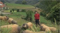 Jean Marie Oçafrain, sur les hauteurs de Oihansoro