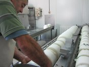 Les fromages restent en presse pour retirer le petit lait du fromage 