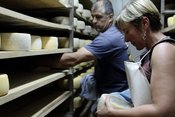 L'affinage à la main des fromages 