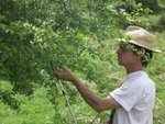Aitor De Portuondo (plantes médicinales et aromatiques)