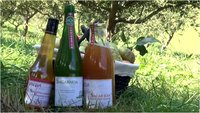 Le cidre et le jus de pomme fermier 