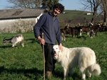 Mizel Etcheverry, Ixuribeherea (fromages de chèvre)