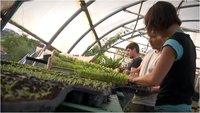 Xotildeia réalise une partie des plants à la ferme 
