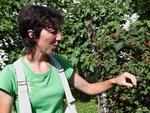 Eztitxu Sabarots, Mamiño (fruits et confitures)