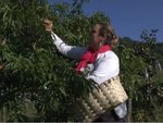 Maryse Doyharçabal, Itsas Mendi (fruits et plats cuisinés)