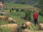 Jean Marie Oçafrain, Lekaio (porc basque)