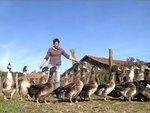 Agnès Sallaberry, Mariete (foie gras et confits)