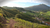 Vue depuis le vignoble d'Ameztia
